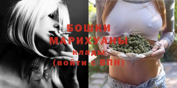 дурь Богородицк