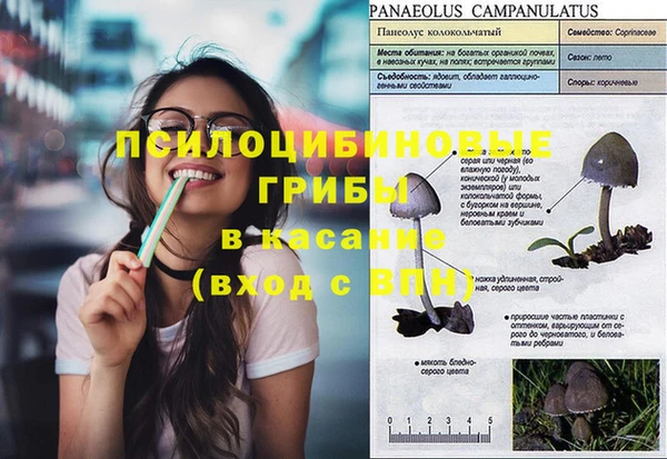 MDMA Premium VHQ Богородск