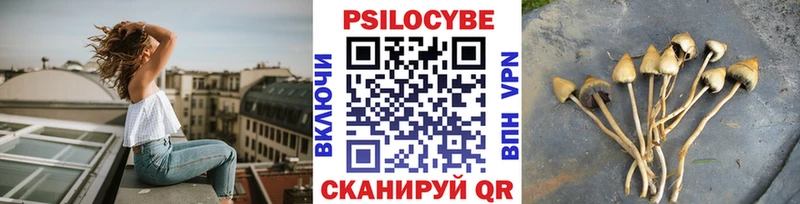Псилоцибиновые грибы Psilocybe  где продают наркотики  Наро-Фоминск 